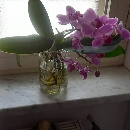 Maestra Giovanna Bed & Breakfast