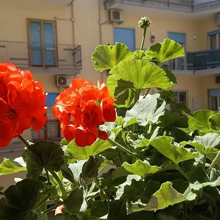 Maestra Giovanna Bed & Breakfast *