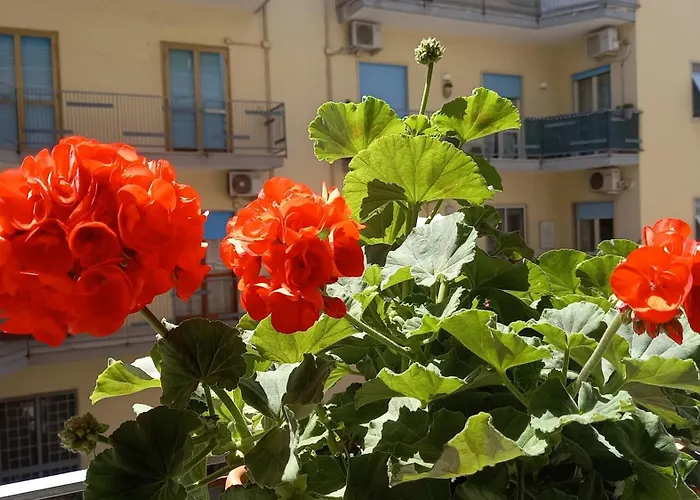 Maestra Giovanna Bed & Breakfast 3*